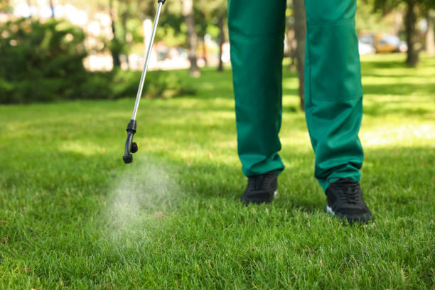 Best Best Pest Control Companies  in Wamac, IL