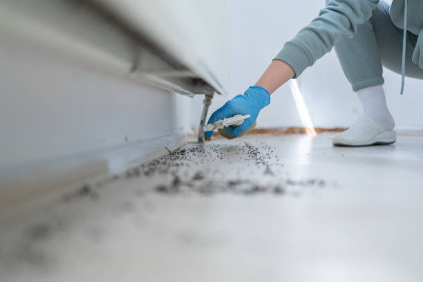 Best Pest Control Near Me  in Wamac, IL