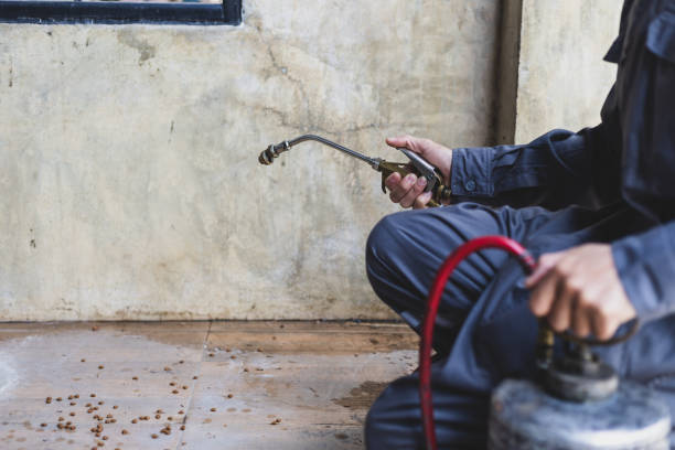 Best Emergency Pest Control  in Wamac, IL