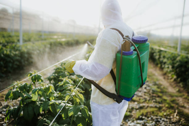 Best Pest Control for Homes  in Wamac, IL